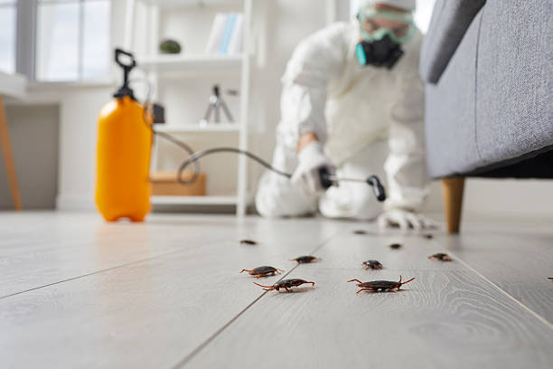 Affordable Cockroach Control solutions in Haddon Heights, NJ